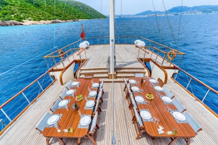 Love Boat 20