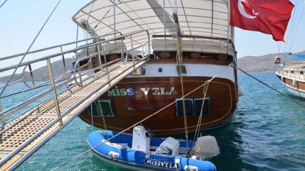 Miss Vela 4