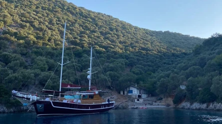 Mrs Elçih 6