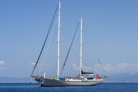 Nautilus 6