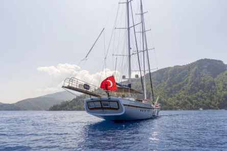 Nautilus 7
