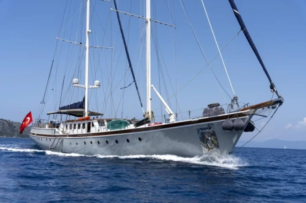 Nautilus 8