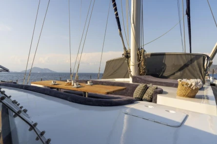 Nautilus 11