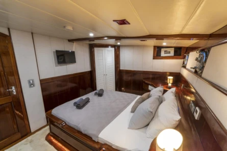 Nautilus 20