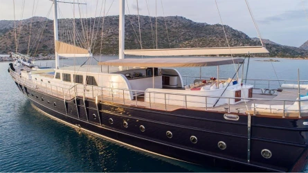 Nevra Queen 8