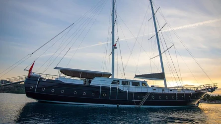 Nevra Queen 9
