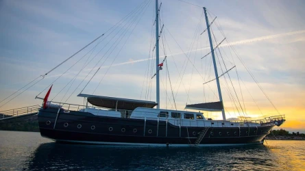 Nevra Queen 10