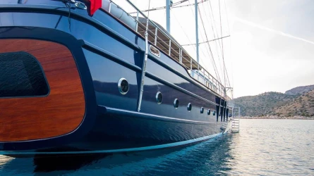 Nevra Queen 11