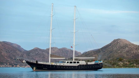 Nevra Queen 13