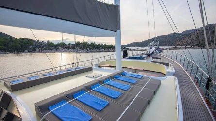 Nevra Queen 19