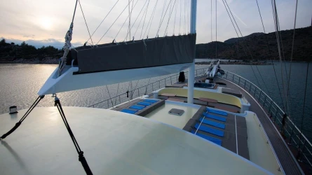 Nevra Queen 21