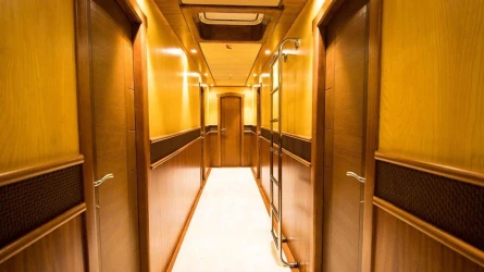 Nevra Queen 55