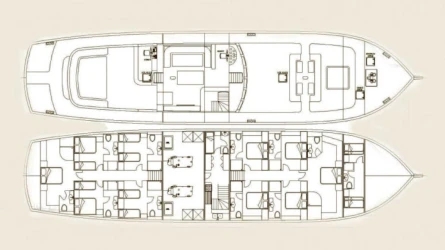 Nevra Queen 70