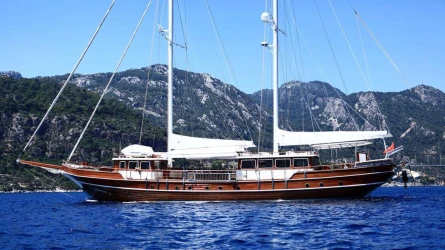 Nurten A 7