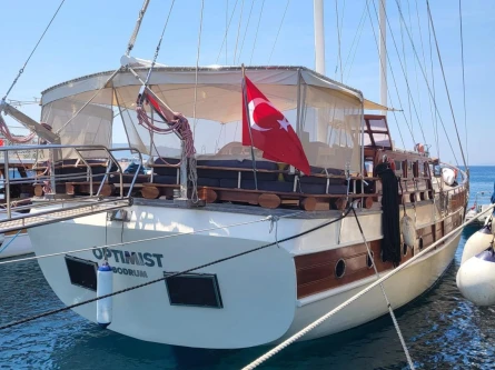 Optimist 5