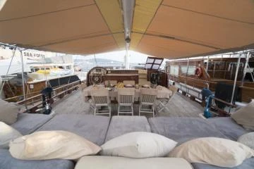 Optimist 11