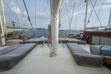 Optimist 12