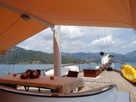 Optimist 14
