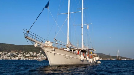 Osman Kurt 1