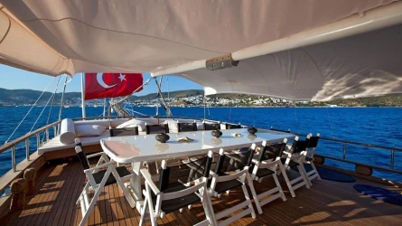 Osman Kurt 14