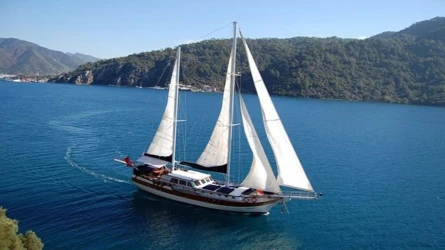 Remzi Yılmaz 5