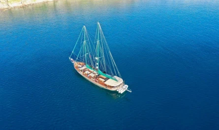 Ros Mare 3