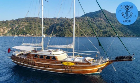 S.Doğu 11