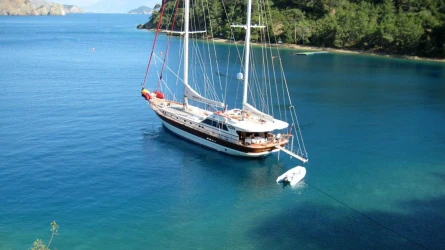 Serenity 86 10