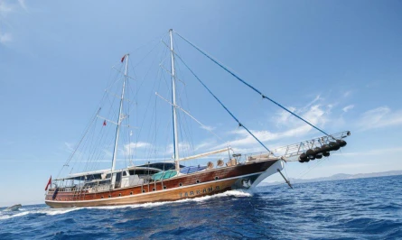 Tarkan 5 1