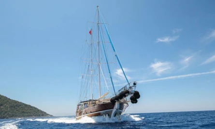 Tarkan 5 2