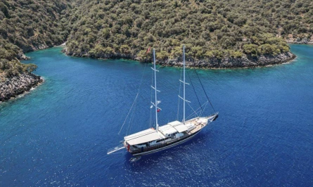 Tarkan 5 3