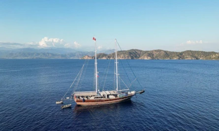 Tarkan 5 4