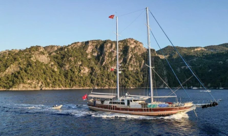Tarkan 5 5