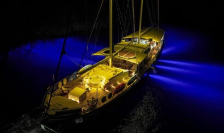 Tarkan 5 7