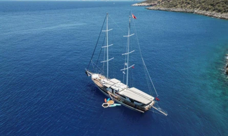 Tarkan 5 11