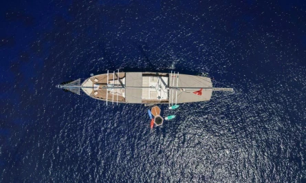 Tarkan 5 13
