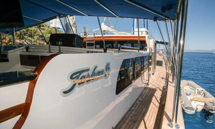 Tarkan 5 37