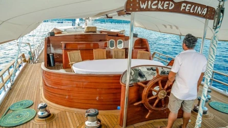 Wicked Felina 12