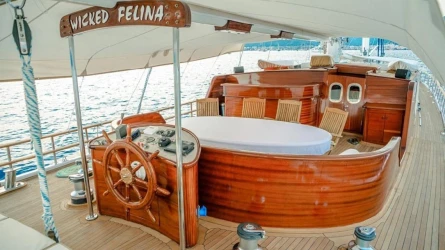Wicked Felina 14