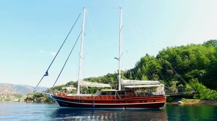 Yüce Bey 5