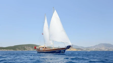 Zephyria II 7