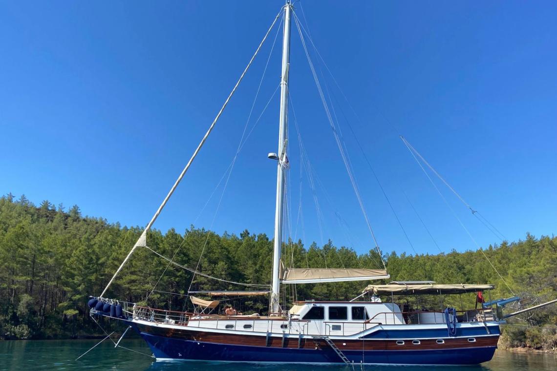Armonica